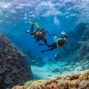 Hurghada: Diving & Snorkeling Cruise Tour w Lunch & Drinks